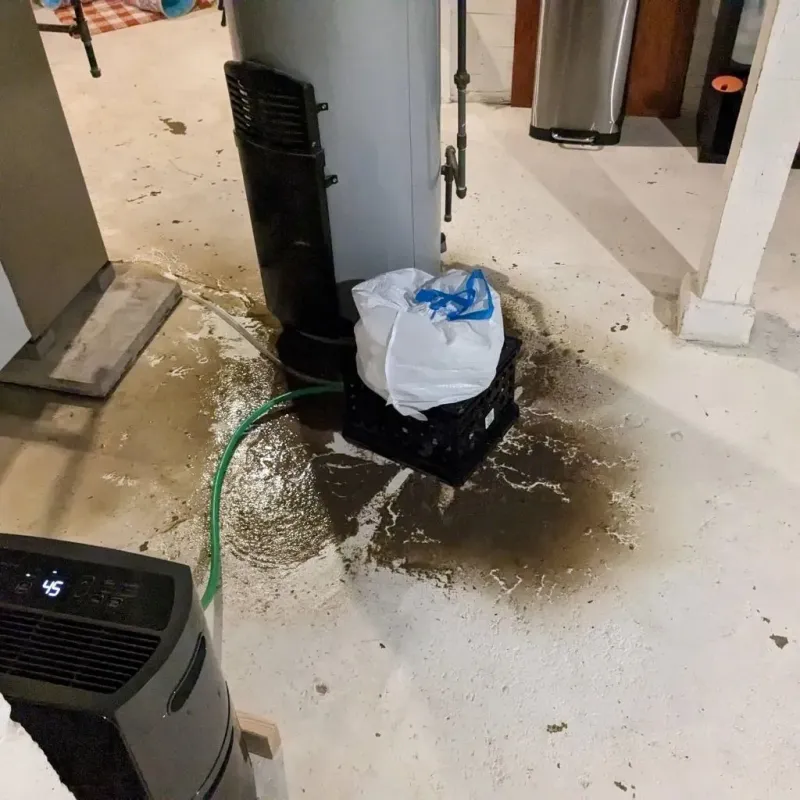 Sewage Backup Cleanup Service in Ashdown, AR
